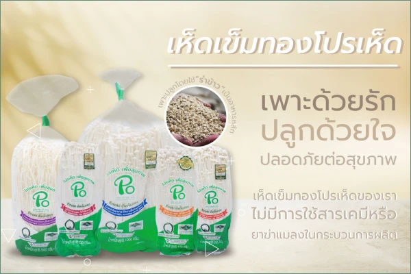 เห็ดเข็มทองโปรเห็ด “เพาะด้วยรัก ปลูกด้วยใจ ปลอดภัยต่อสุขภาพ”