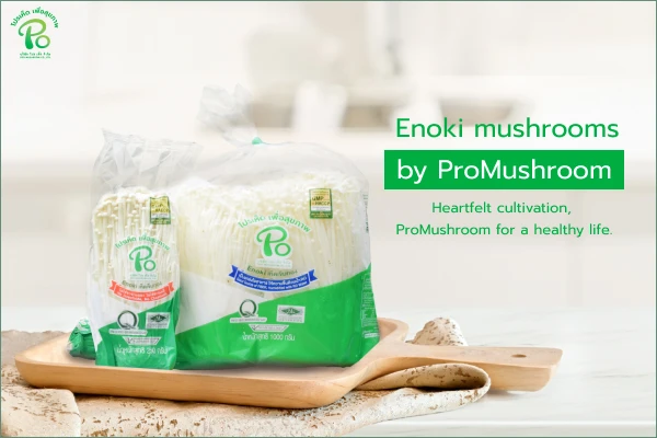 Why should you eat Enoki Mushroom? Why should you eat Enoki Mushroom?
