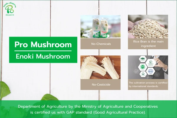 Why should you eat Enoki Mushroom? Why should you eat Enoki Mushroom?