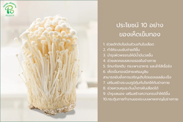 ประโยชน์ 10 อย่างของเห็ดเข็มทอง