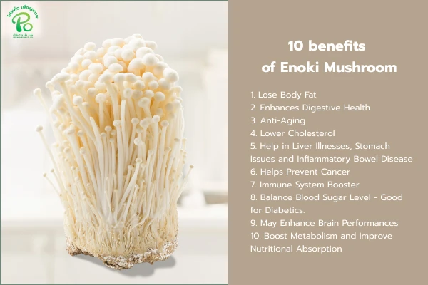 Why should you eat Enoki Mushroom?