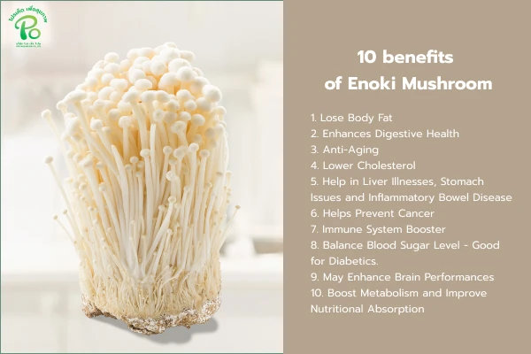 Why should you eat Enoki Mushroom? Why should you eat Enoki Mushroom?